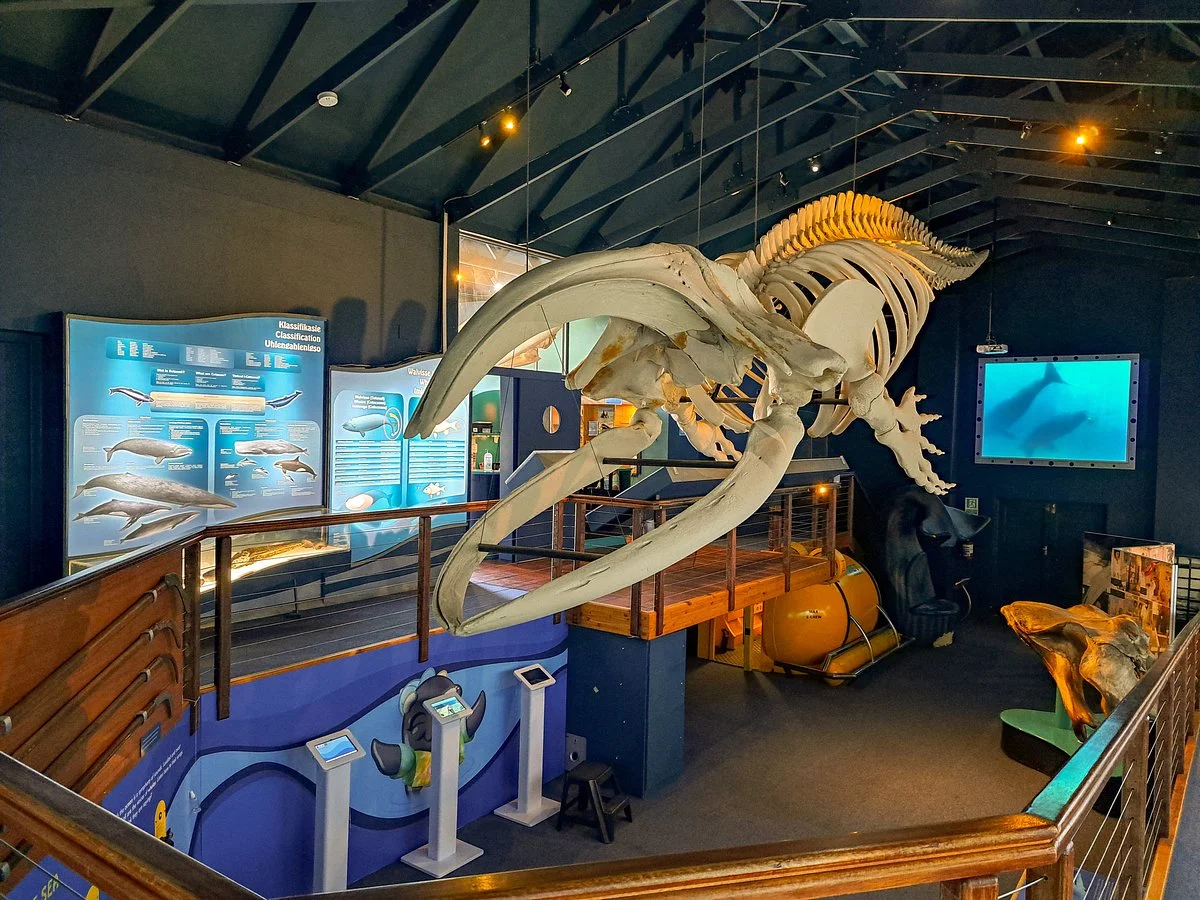 The Whale House Museum