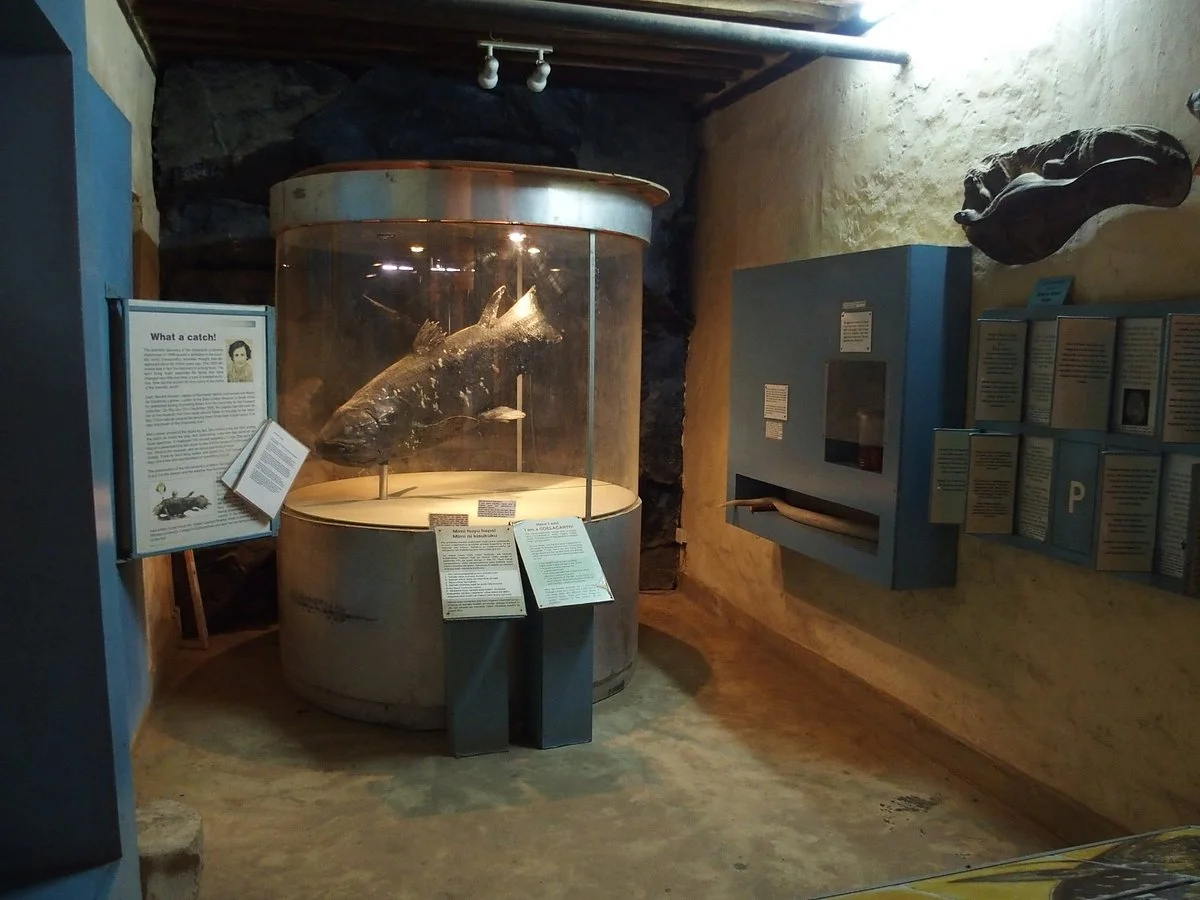 Malindi Museum