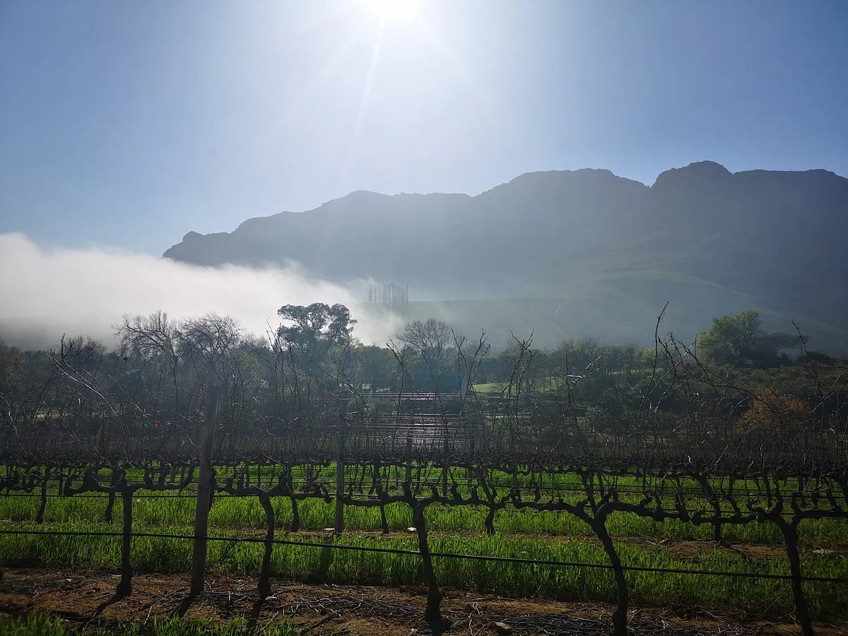 Keermont Vineyards