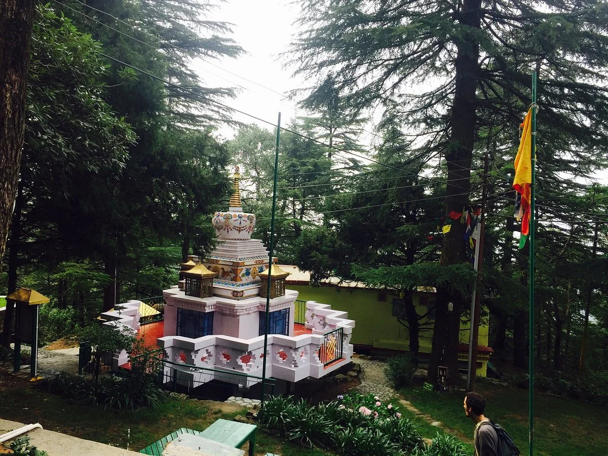 Tushita Meditation Centre