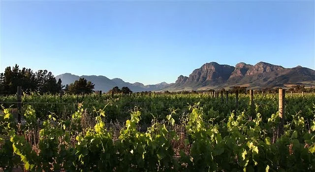 Val de Vie Wines