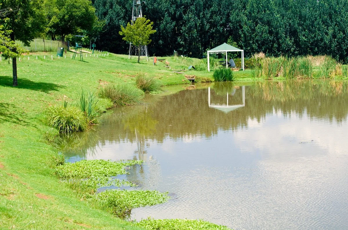 Brookwood Estate Trout Farm