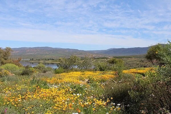 Ramskop Nature Reserve