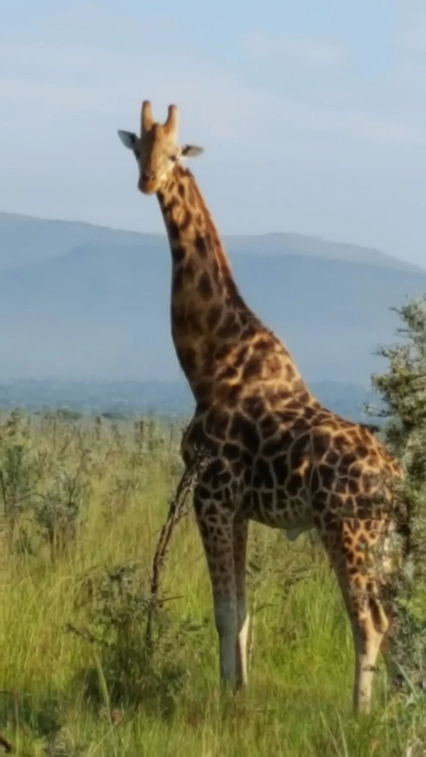Ruma National Park