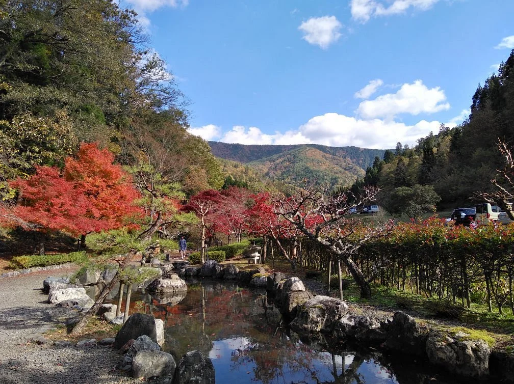 Shakudoji Temple