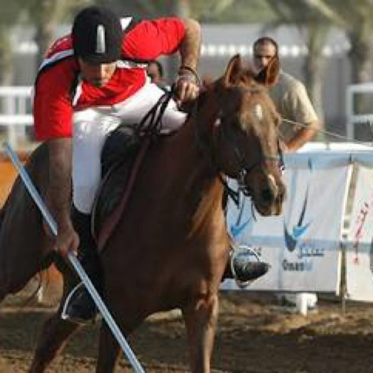International Equestrian Club