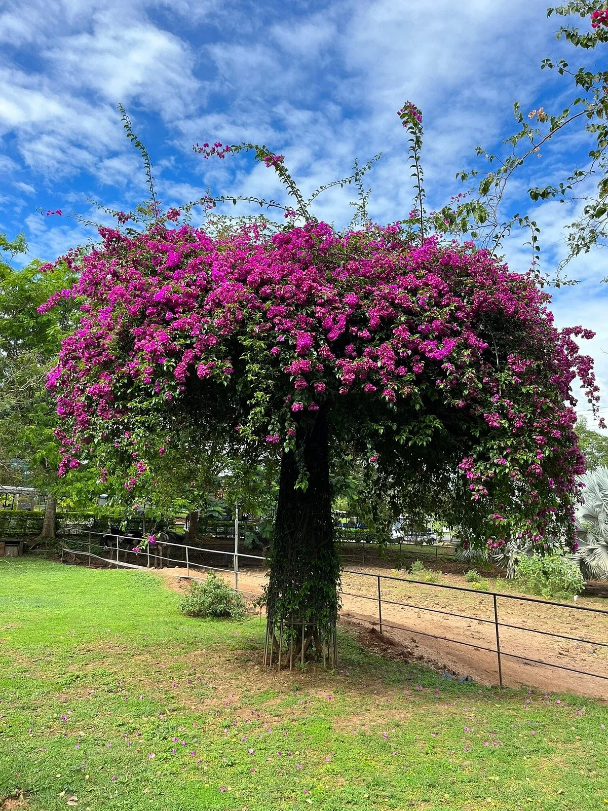 Dry Zone Botanic Gardens - Hambantota