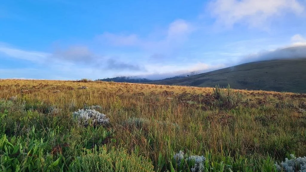 Kitulo National Park