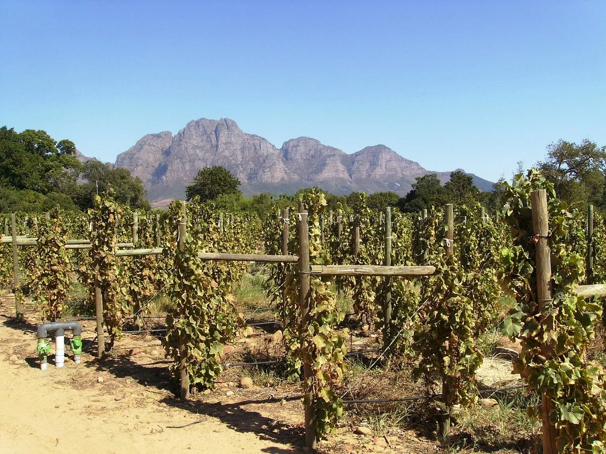 Solms-Delta Farm Tours