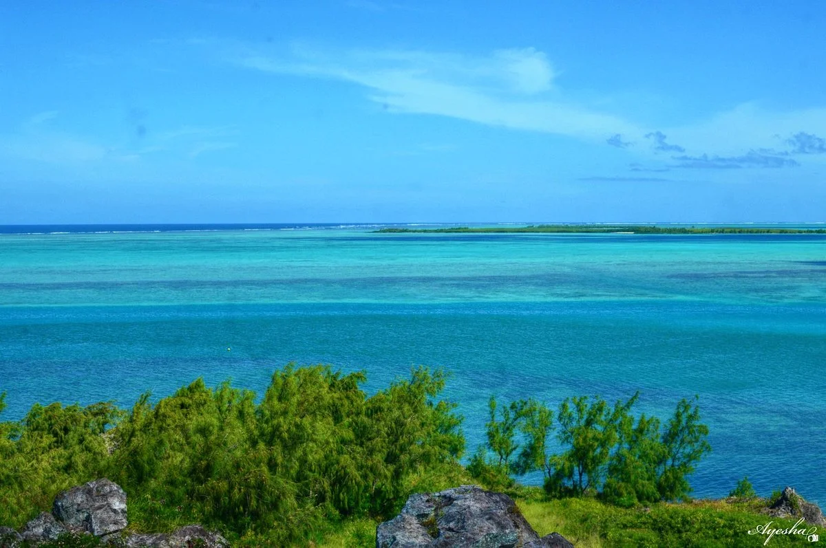 Hermitage Island