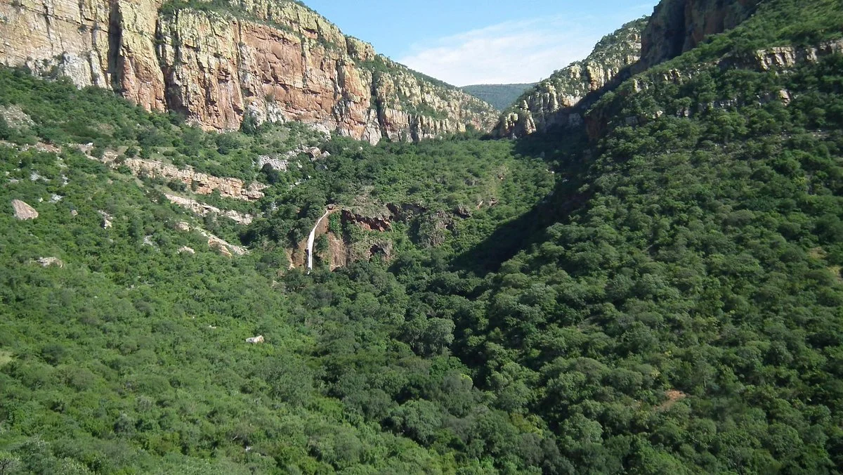 Abel Erasmus Pass