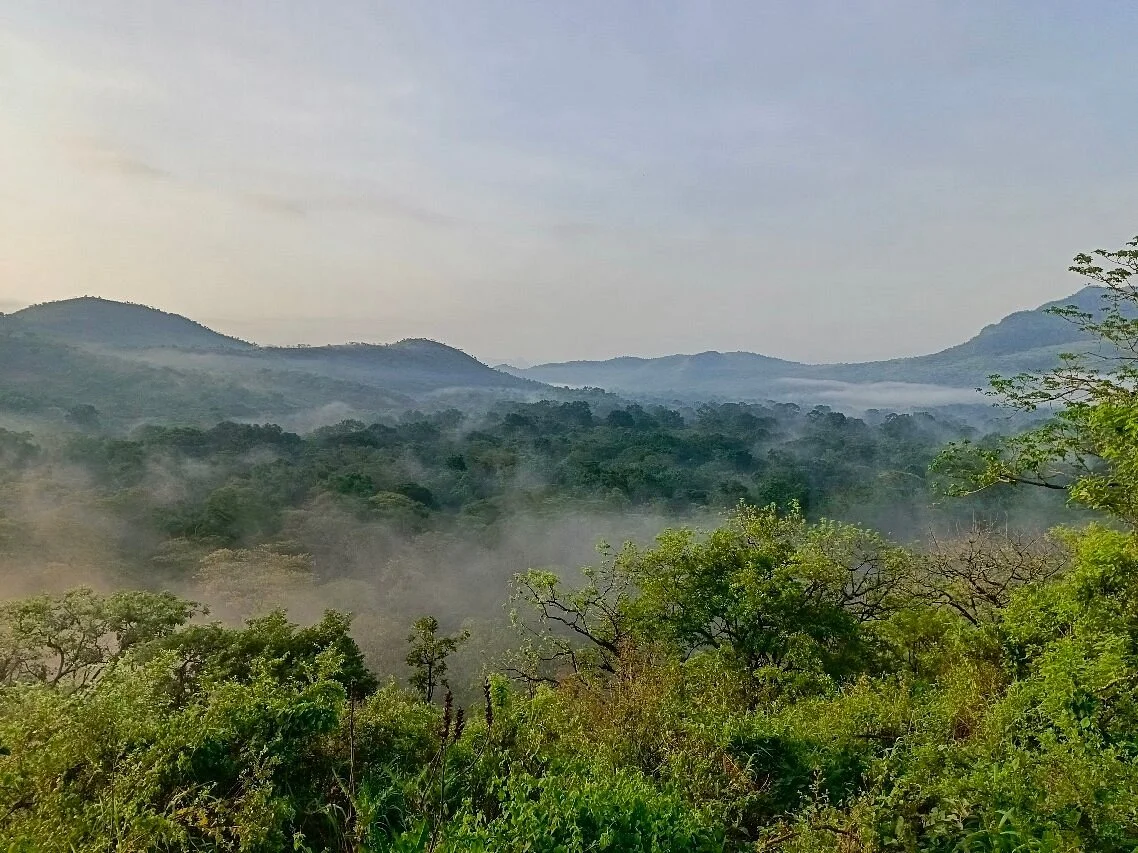 Chebera Churchura National Park