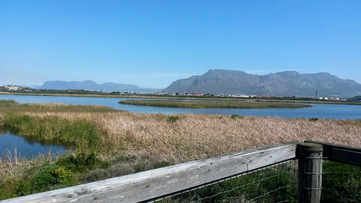 Rondevlei Nature Reserve