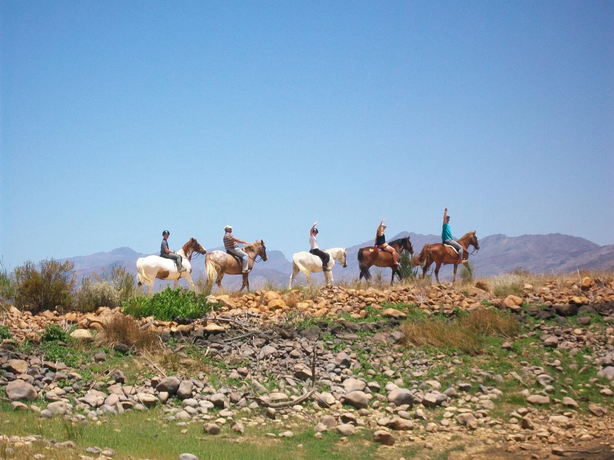 Tulbagh Horse Trails
