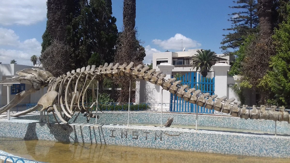 Oceanographic Museum