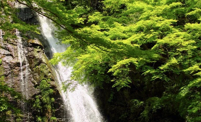Waterfall of Mino