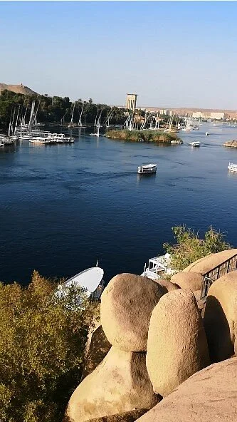 Feryal Garden