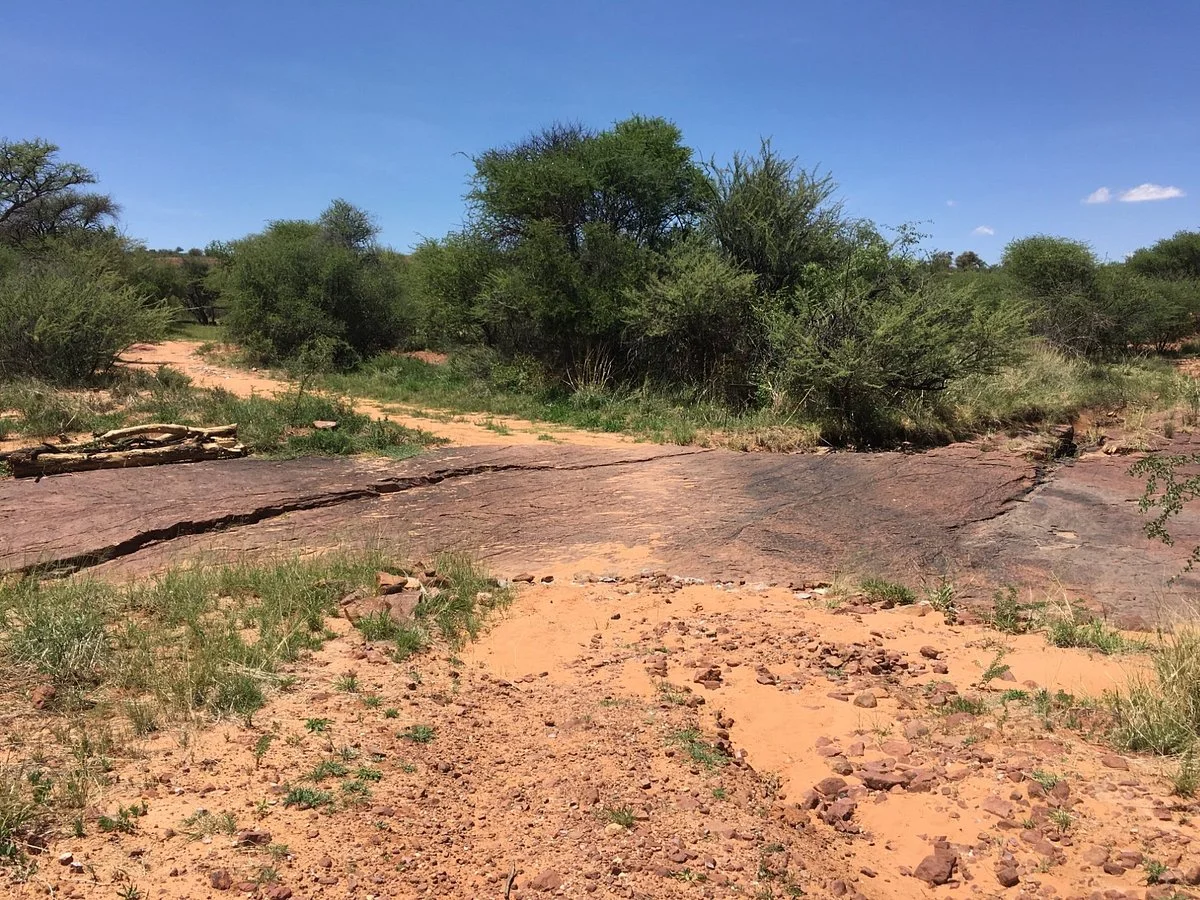 Dinosaur Tracks - National Monument NAMIBIA