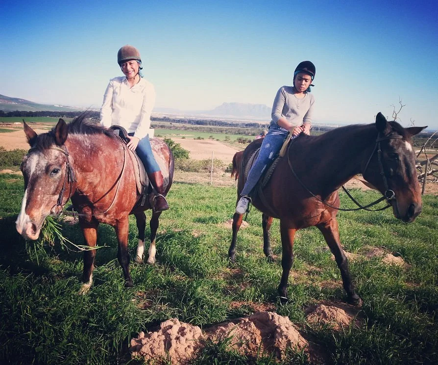 Mountain View Horse Trails