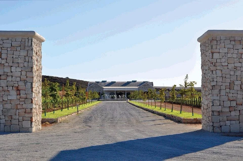 Teubes Family Wine Cellar
