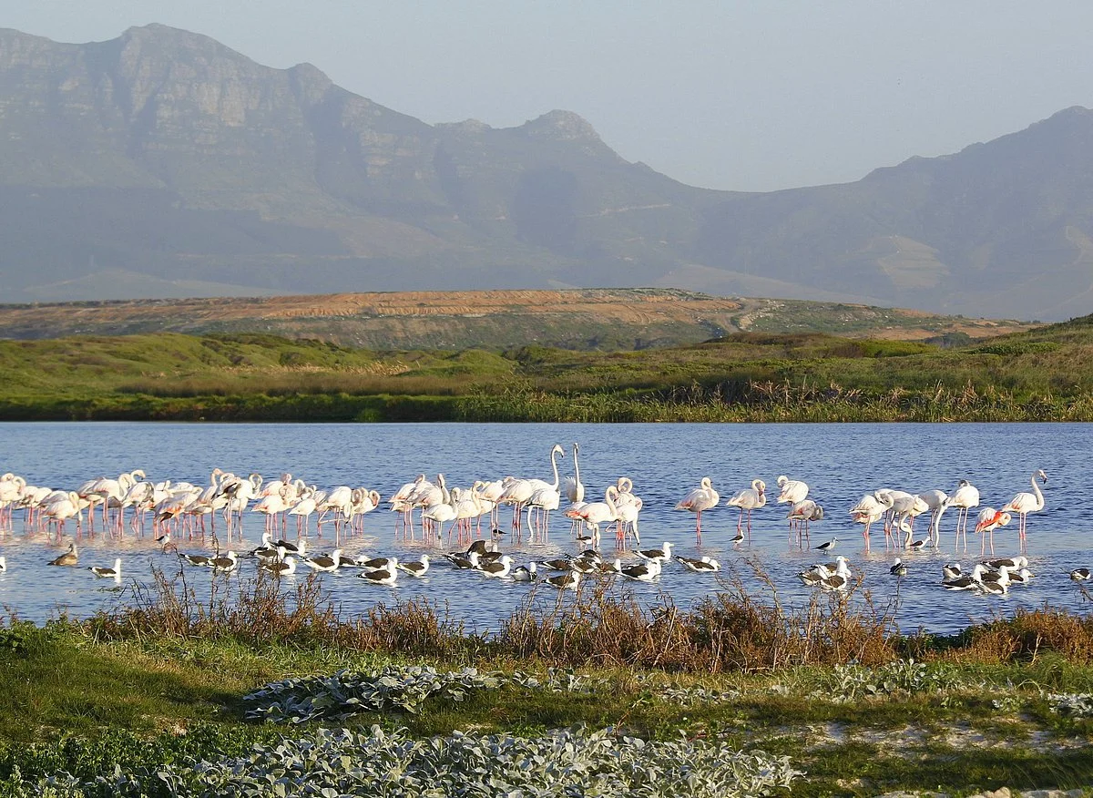 Strandfontein Beach