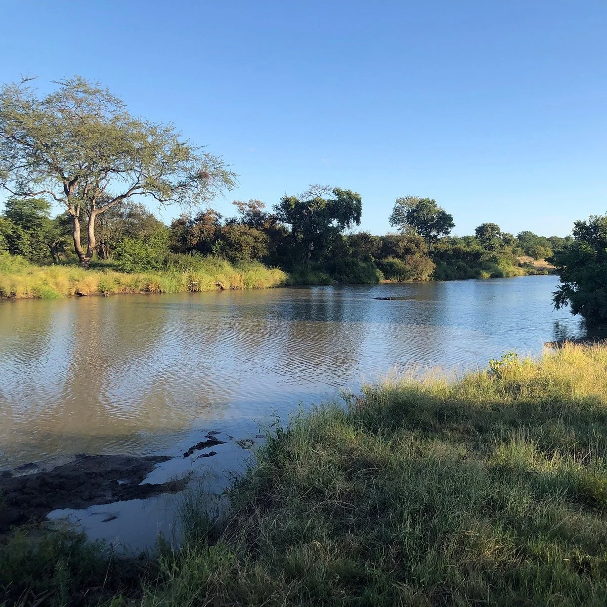 Klaserie Dam