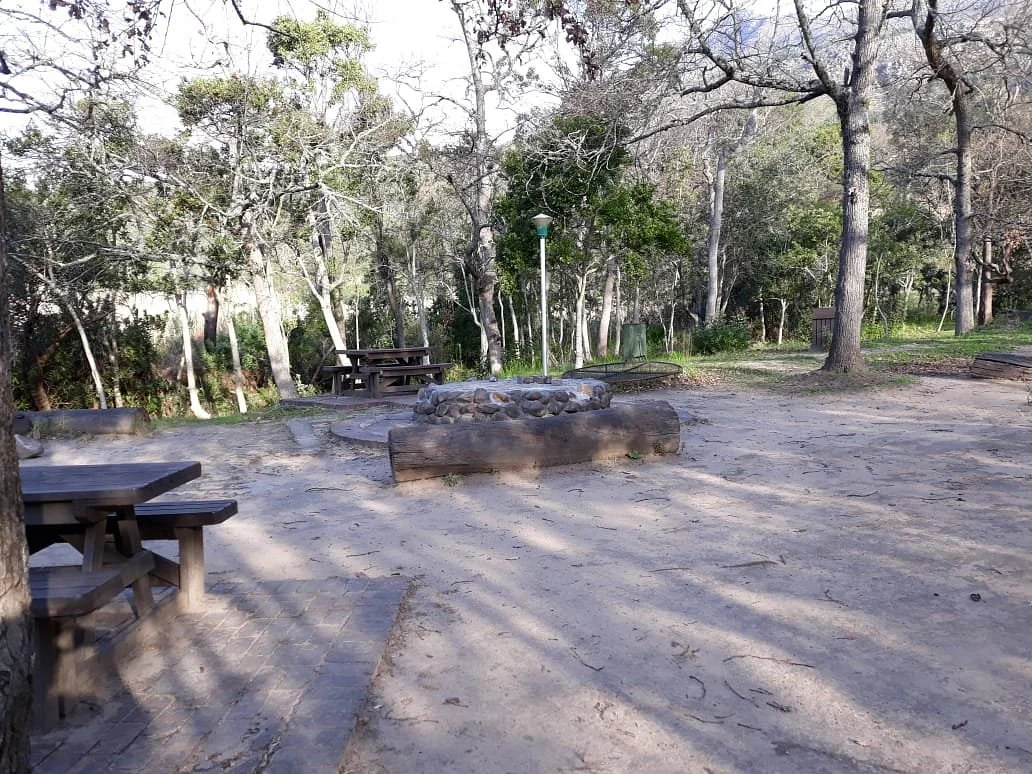 Assegaaibosch Nature Reserve