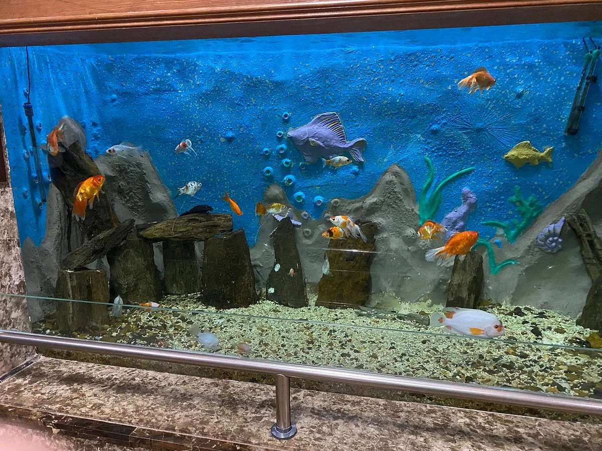 Aquarium Museum