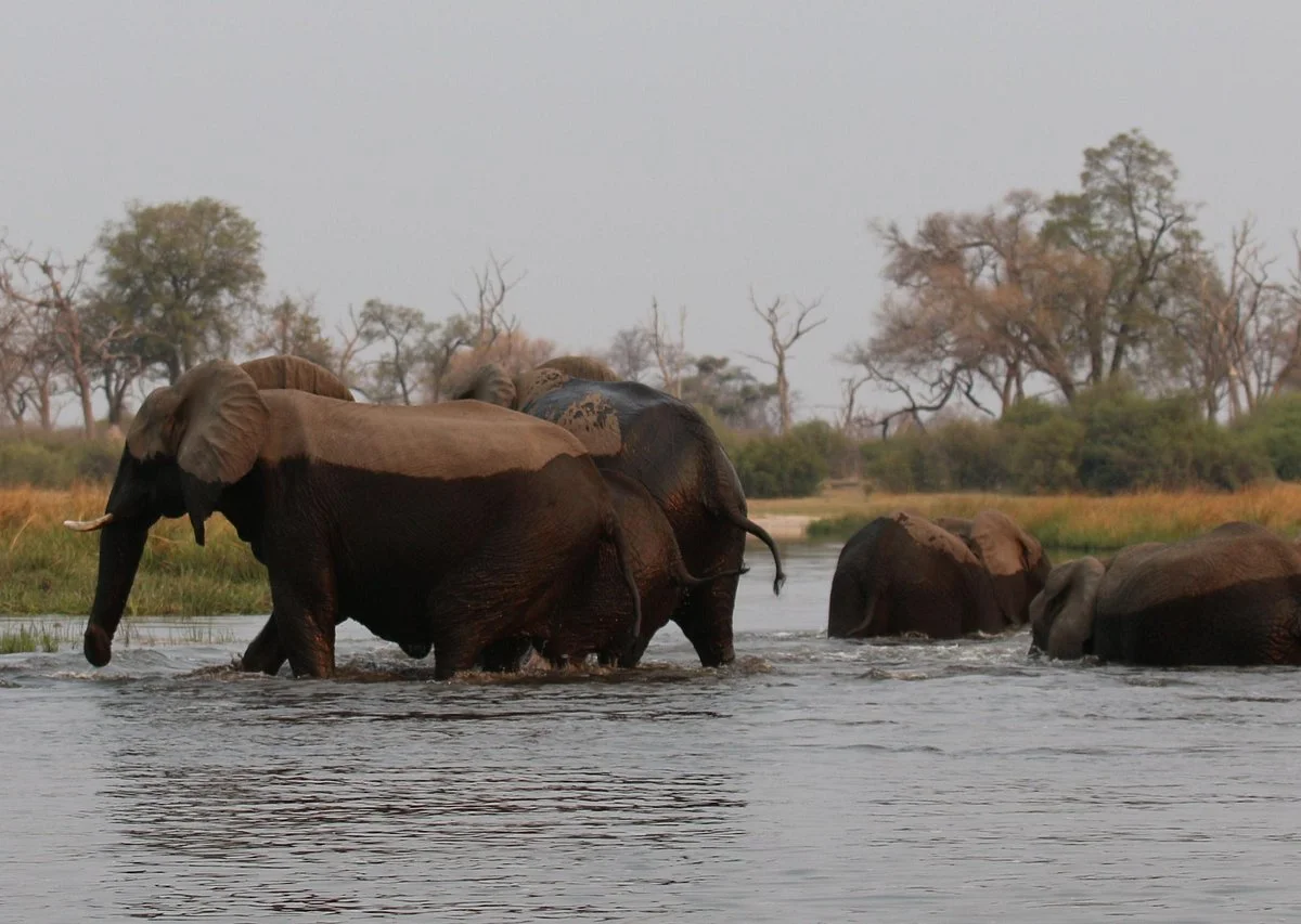 Nkasa Rupara National Park