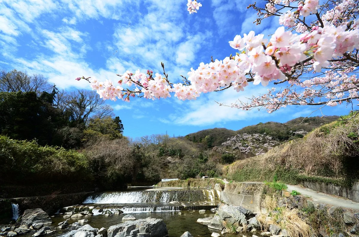 Settsukyo Park