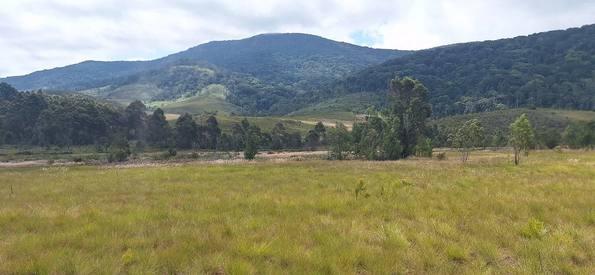 Chome Nature Forest Reserve