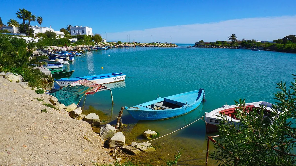 Punic Ports & Museum