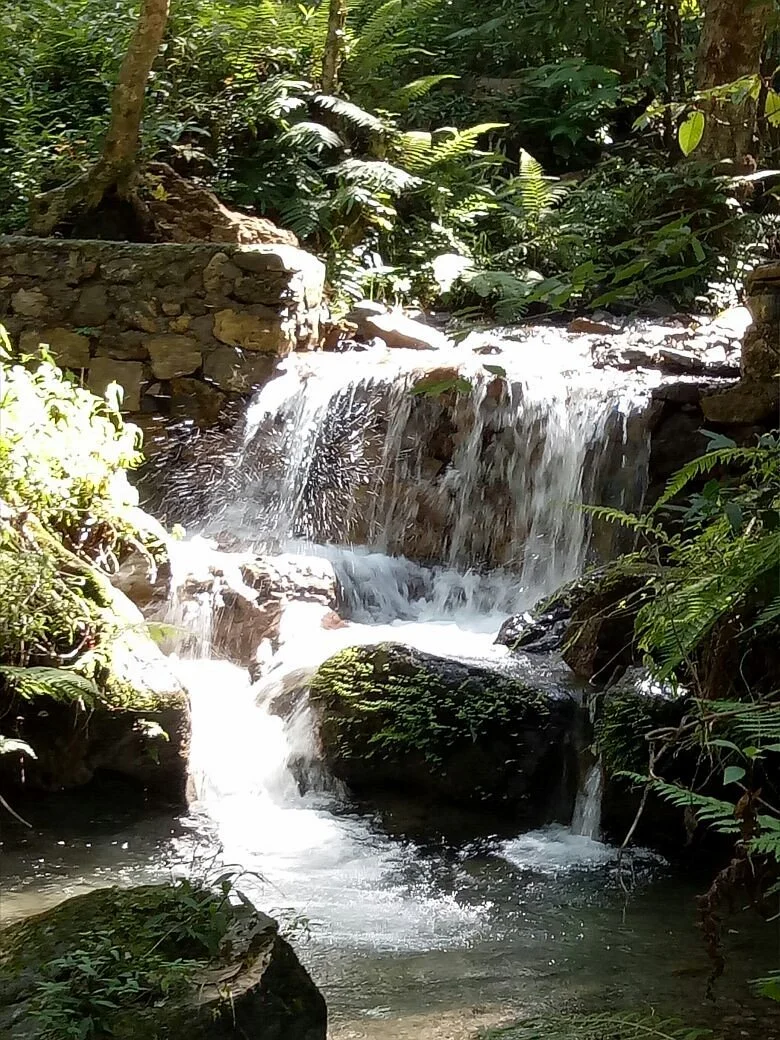 Benog Wildlife Sanctuary