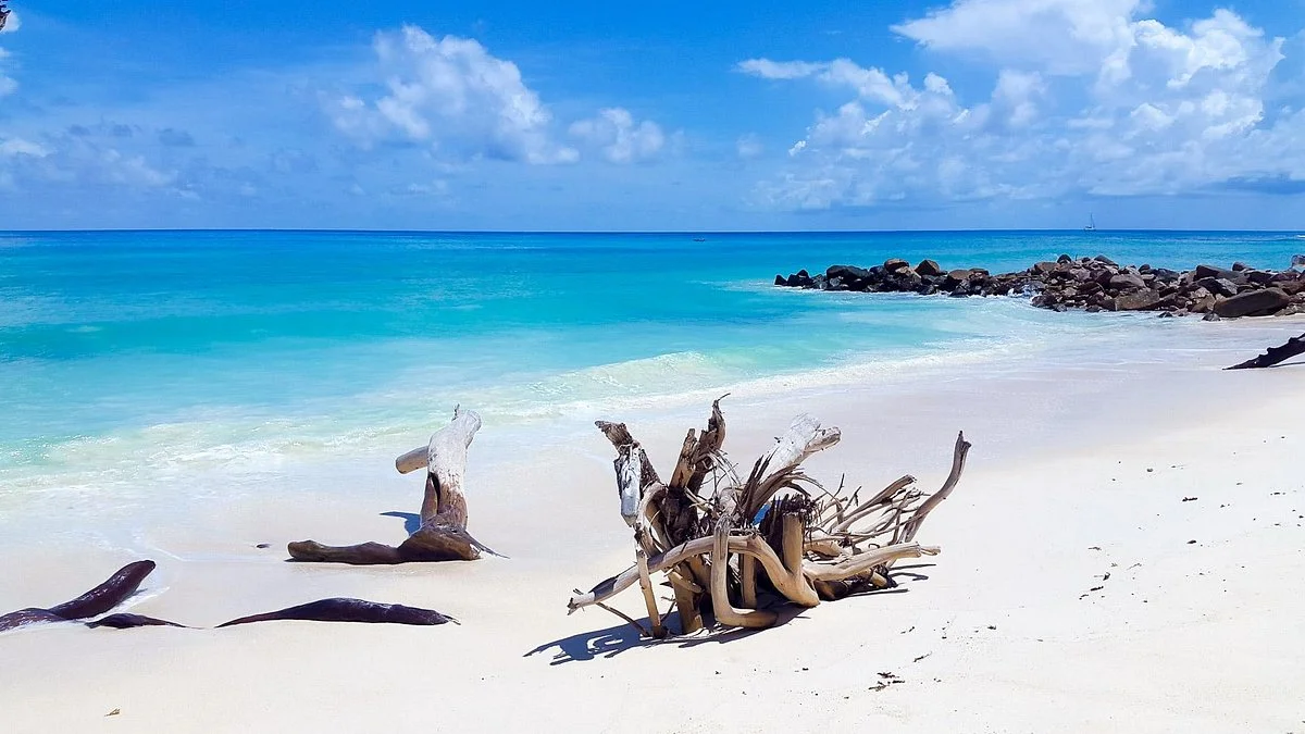 Anse Kerlan Beach