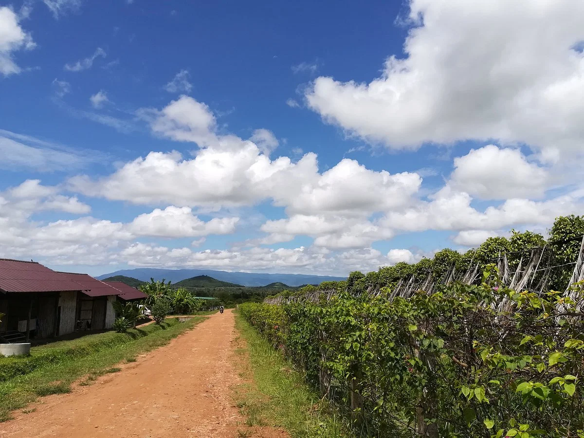 La Plantation