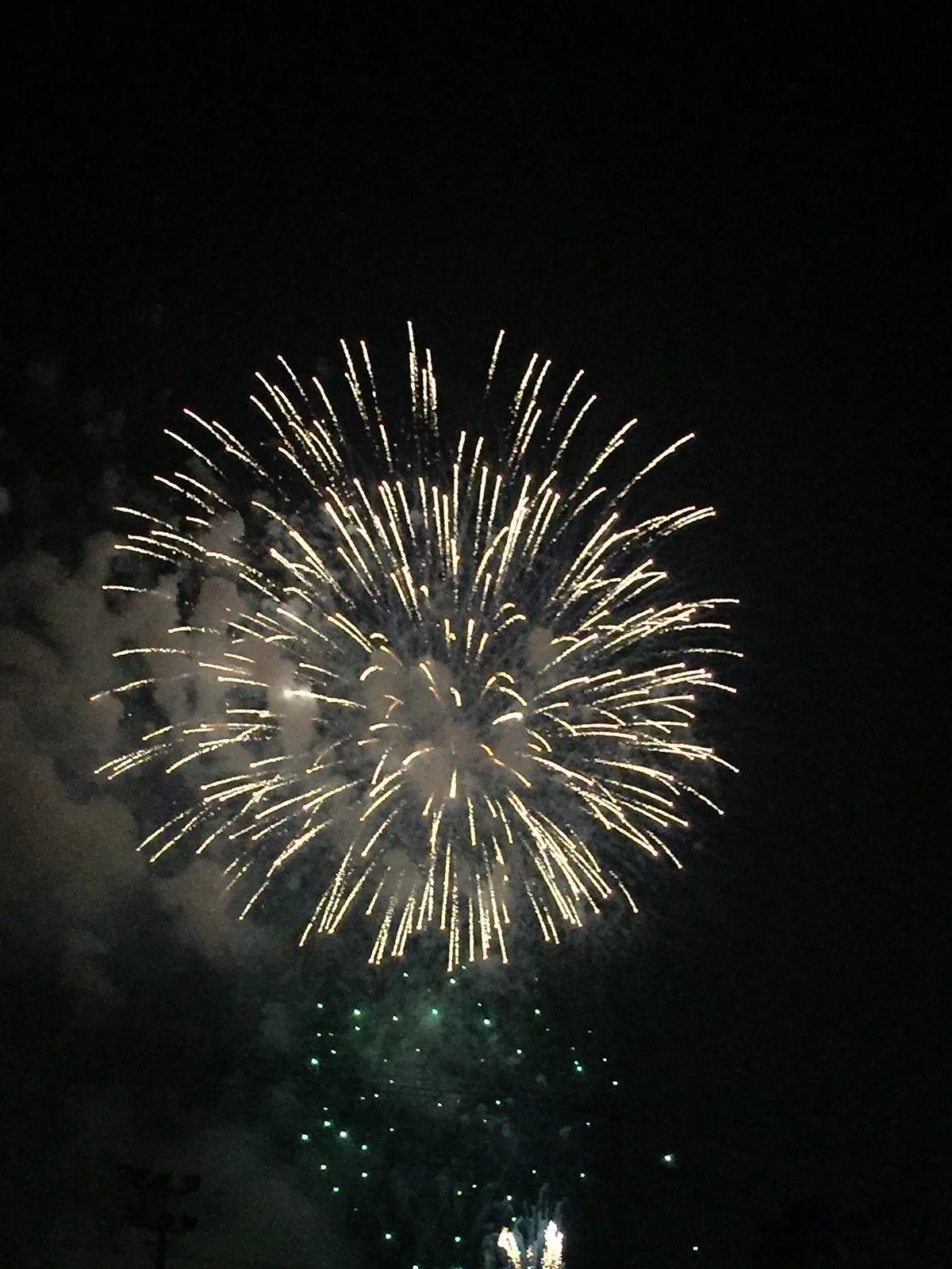 Nishio Yonezu River Festival