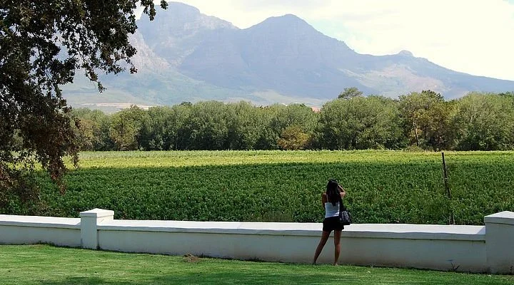 Olyvenbosch Farm