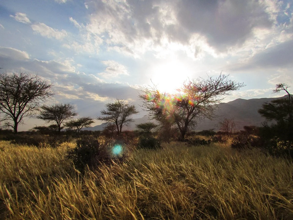 Bou-Hedma National Park