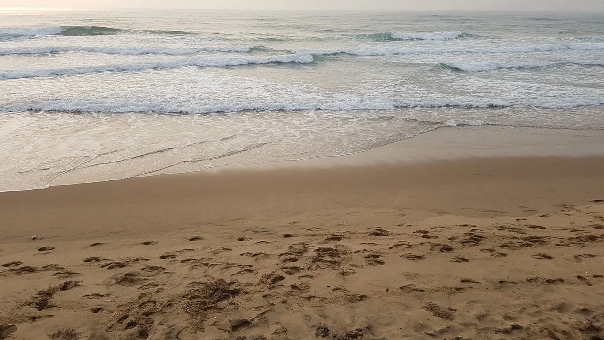 Suncoast Beach