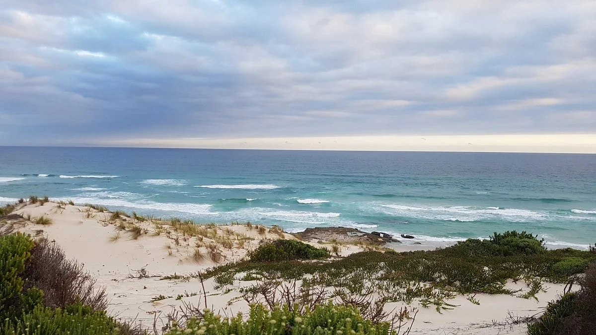 Seaside Dunes