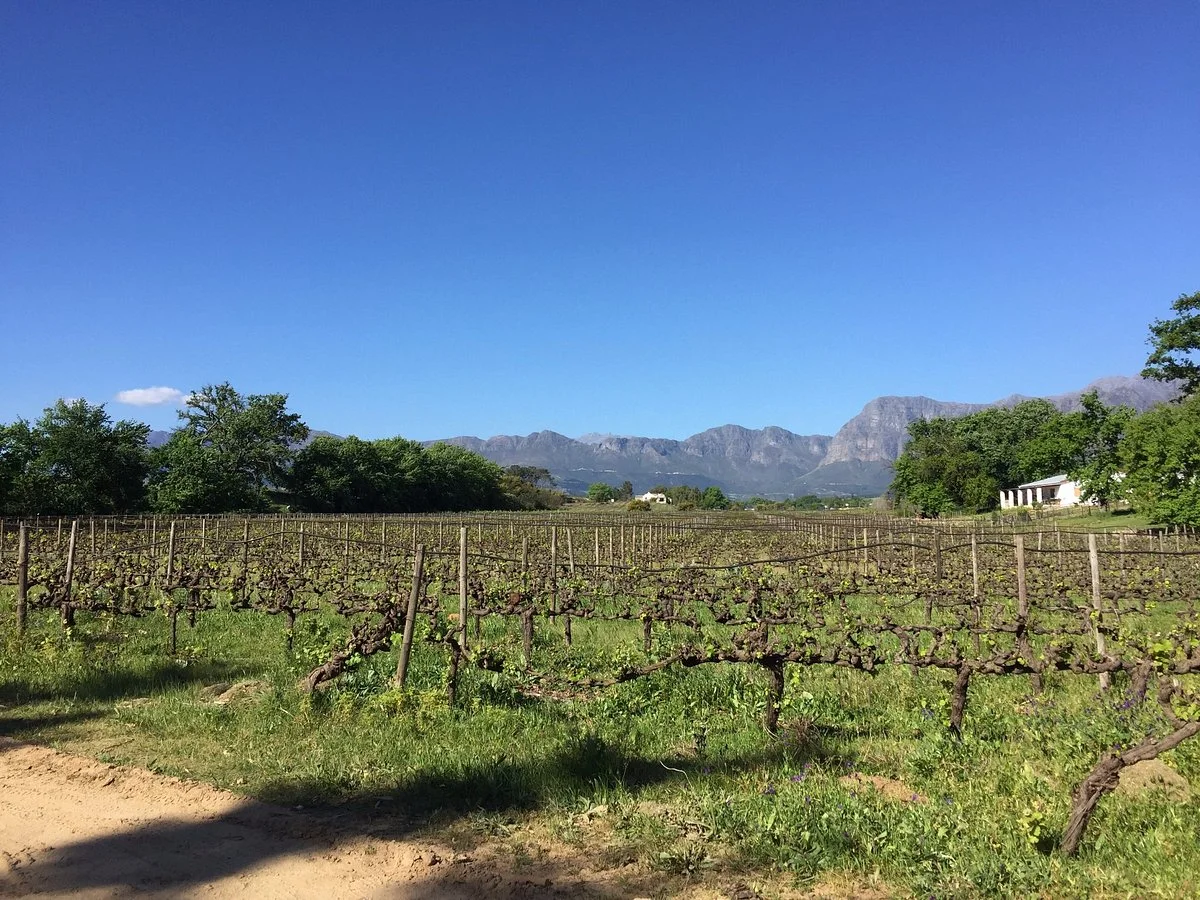 Klein Parys Vineyards