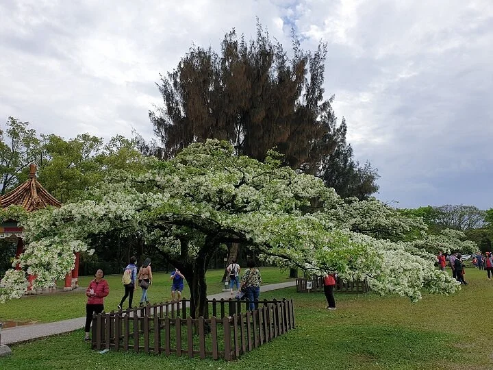 Shimen Reservoir Grass Lawn