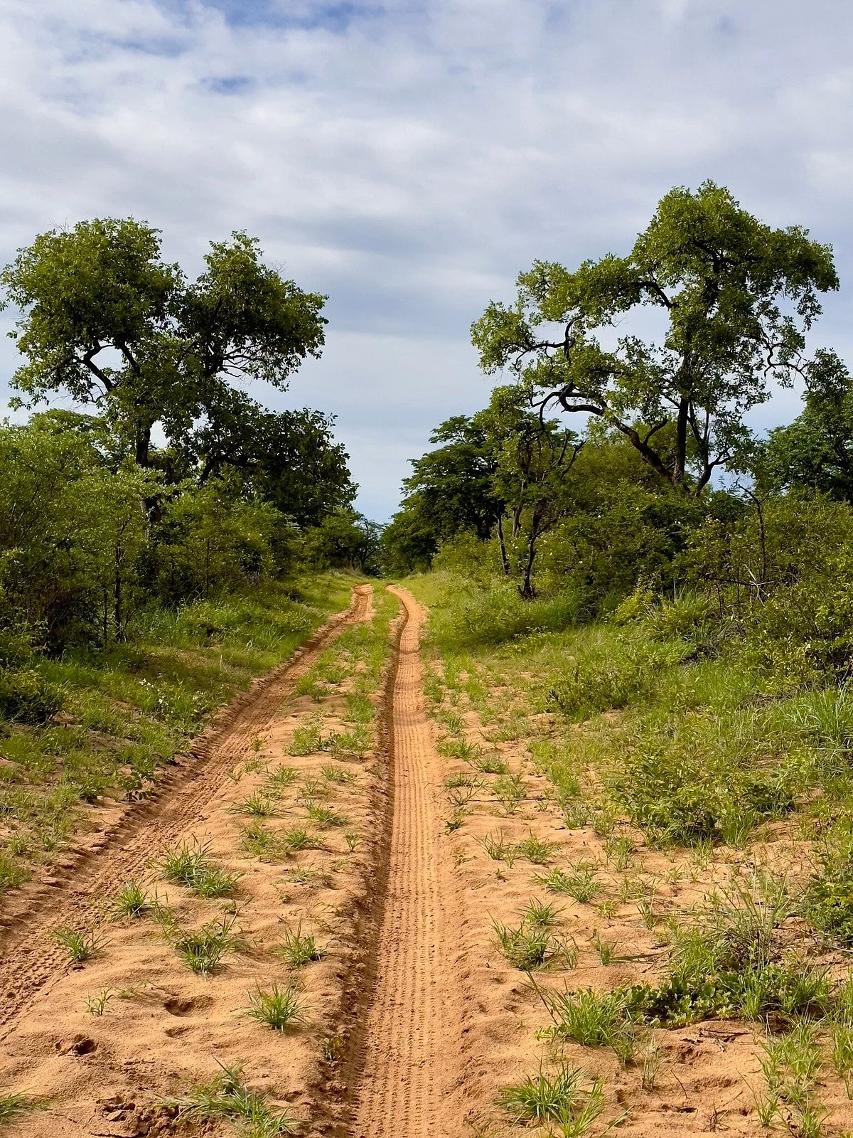 Mangetti National Park