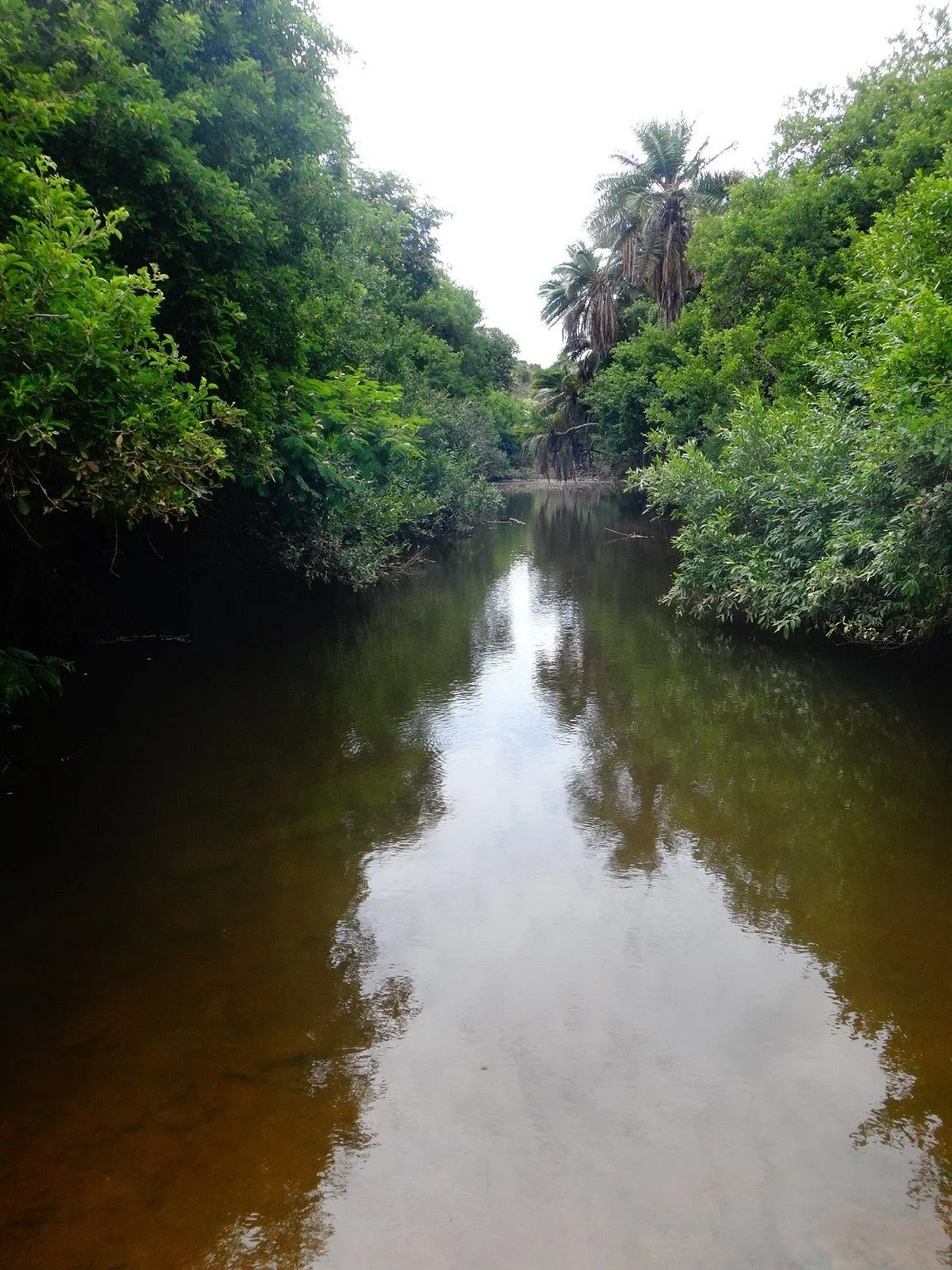 Lushington Valley Reserve