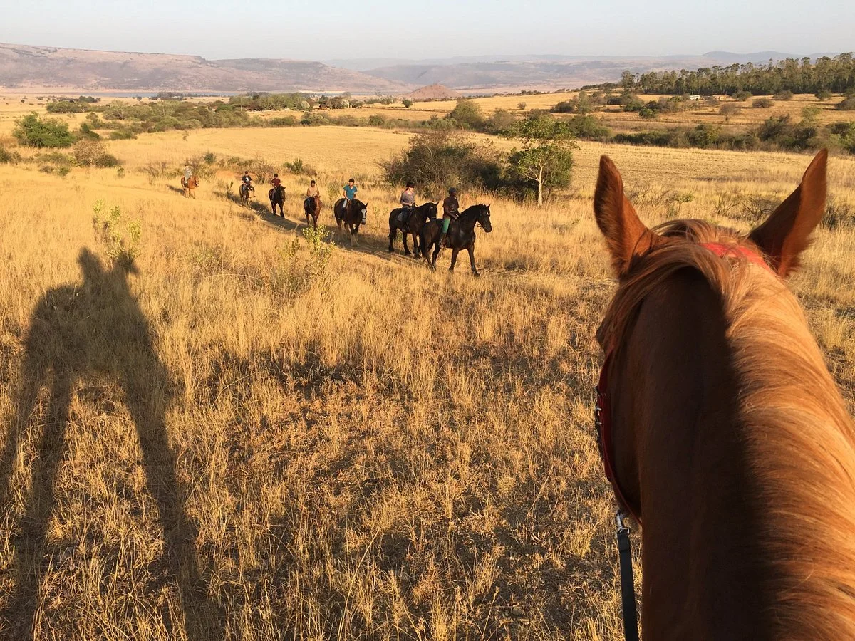 Lydenrust Horse & Hiking Trails