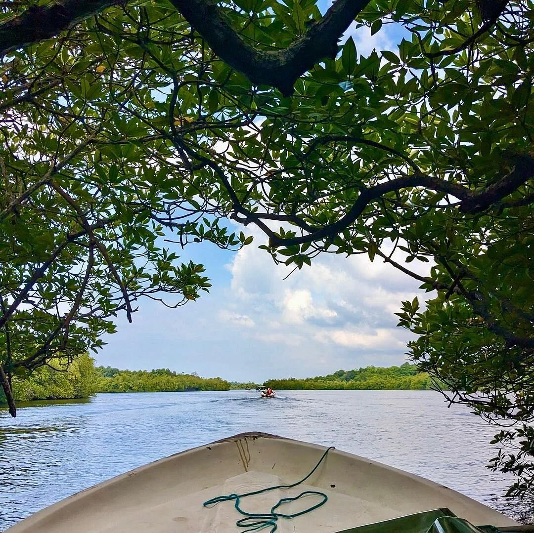 Madu River