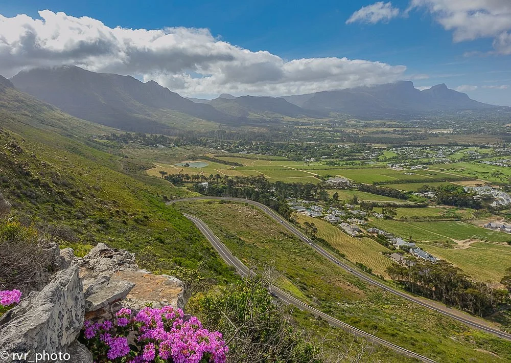 Southern Suburbs
