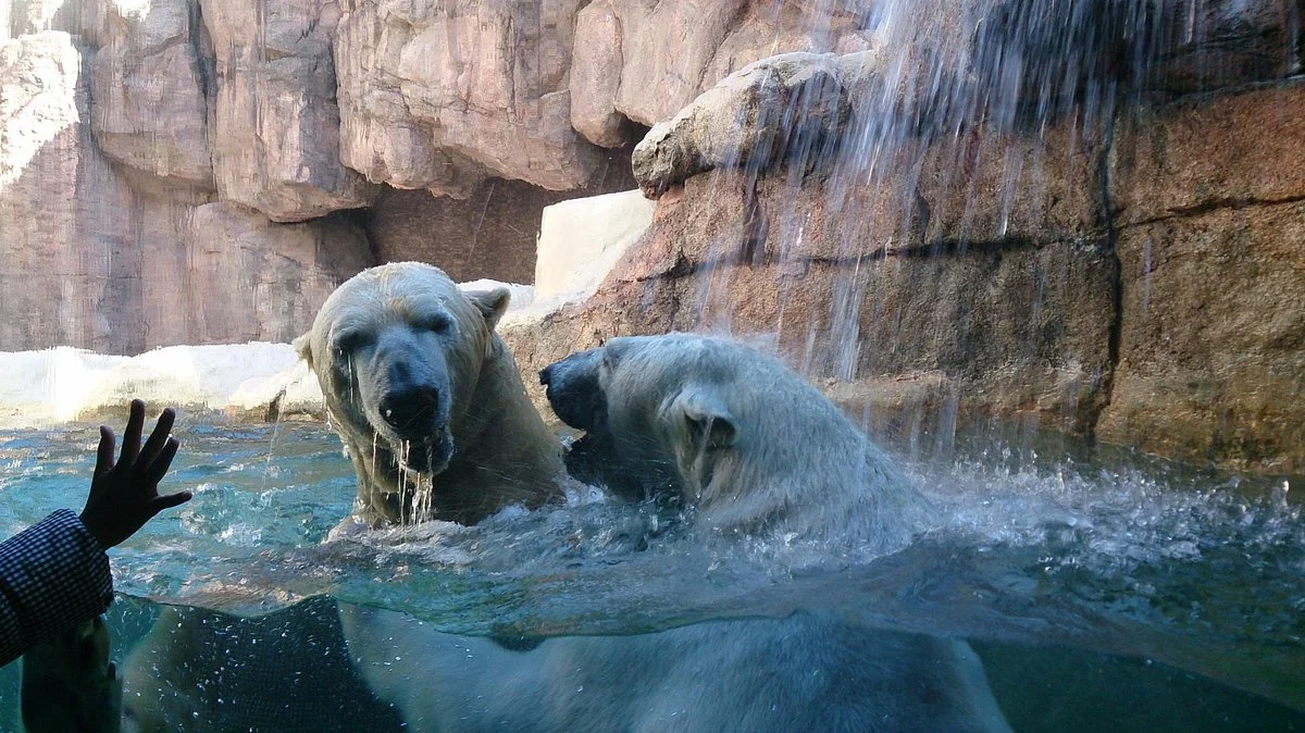 Nihondaira Zoo