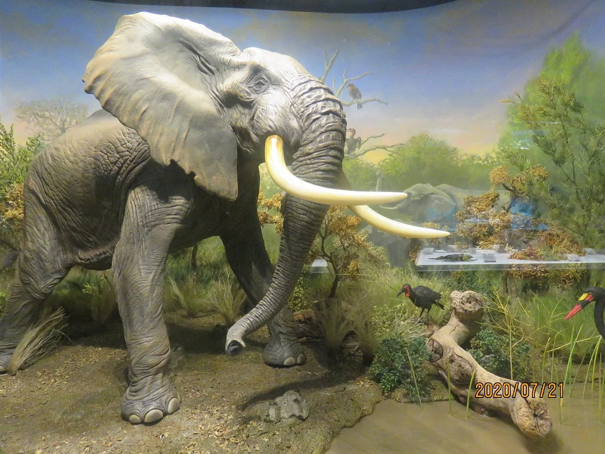 Kaiyodo Figure Museum Kurokabe Ryuyukan