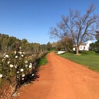 Nelson Wine Estate